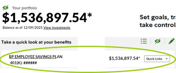 EOY_Blog_2024_12_600x25_Graphics 3 (4)
